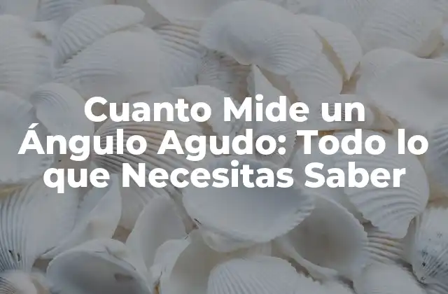 Cuanto Mide un Ángulo Agudo: Todo Lo que Necesitas Saber