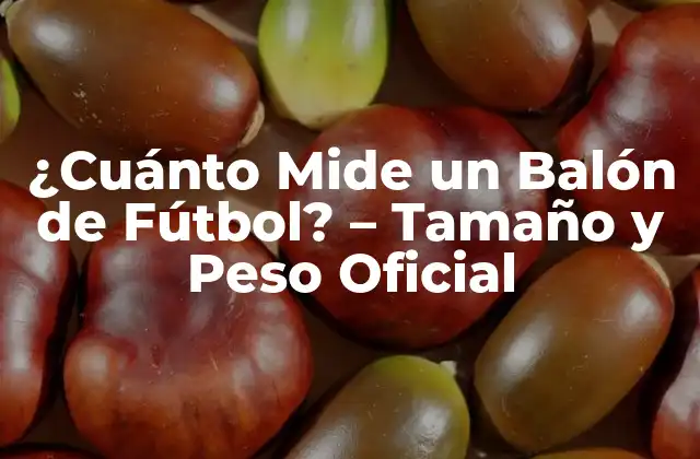 ¿cuánto Mide un Balón de Fútbol? – Tamaño y Peso Oficial