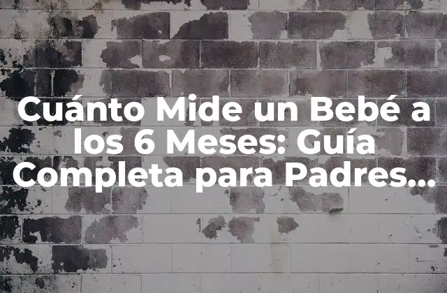 Cuánto Mide un Bebé a los 6 Meses: Guía Completa para Padres Primerizos 2 ¿Cuál es el Peso Promedio de un Bebé a los 6 Meses?