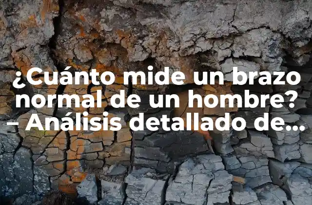 ¿cuánto Mide un Brazo Normal de un Hombre? – Análisis Detallado de las Medidas Estándar