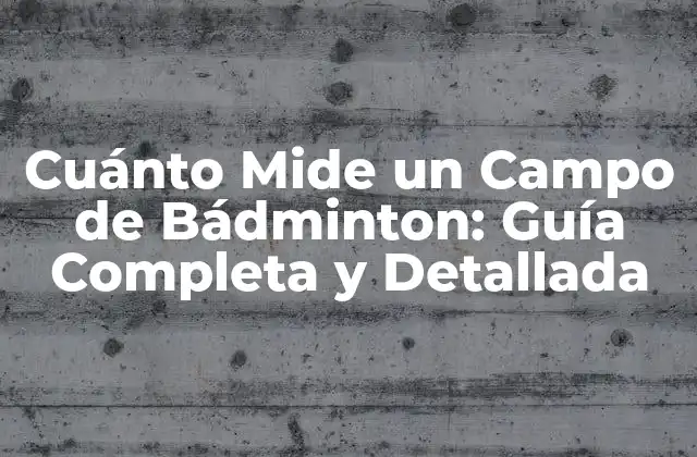 Cuánto Mide un Campo de Bádminton: Guía Completa y Detallada