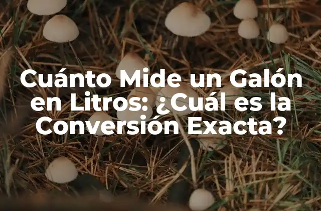 Cuánto Mide un Galón en Litros: ¿cuál es la Conversión Exacta?
