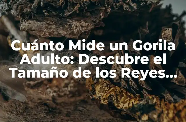 Cuánto Mide un Gorila Adulto: Descubre el Tamaño de los Reyes de la Selva