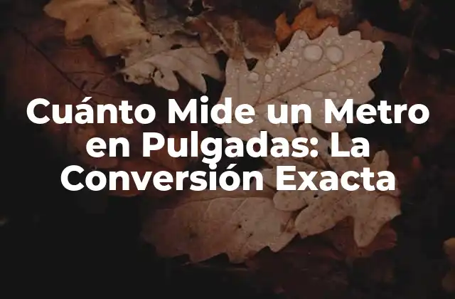 Cuánto Mide un Metro en Pulgadas: la Conversión Exacta