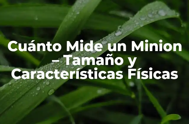 Orígenes de los Minions y su Diseño