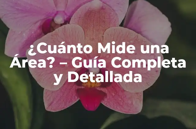 ¿cuánto Mide una Área? – Guía Completa y Detallada