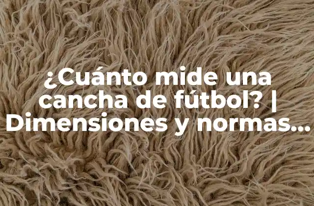 ¿cuánto Mide una Cancha de Fútbol? | Dimensiones y Normas Oficiales