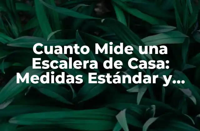 Cuanto Mide una Escalera de Casa: Medidas Estándar y Requisitos