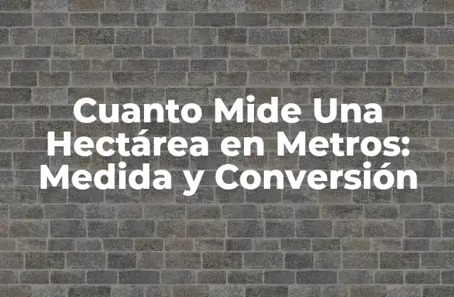 Cuanto Mide una Hectárea en Metros: Medida y Conversión