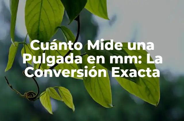 Cuánto Mide una Pulgada en Mm: la Conversión Exacta 2 La Definición de la Pulgada