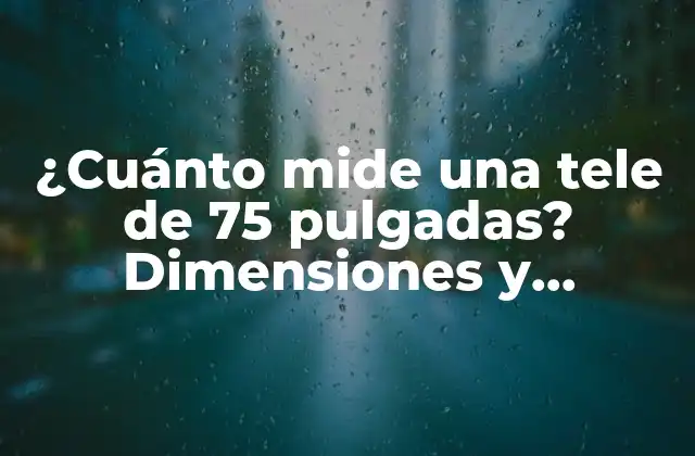 ¿cuánto Mide una Tele de 75 Pulgadas? Dimensiones y Características Clave