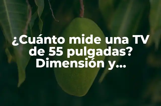 ¿cuánto Mide una Tv de 55 Pulgadas? Dimensión y Características de las Pantallas de Tv