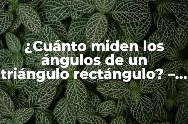 ¿cuánto Miden los Ángulos de un Triángulo Rectángulo? - una Guía Completa 2 Definición de un triángulo rectángulo y sus características