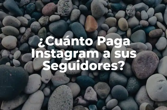 ¿cuánto Paga Instagram a Sus Seguidores?