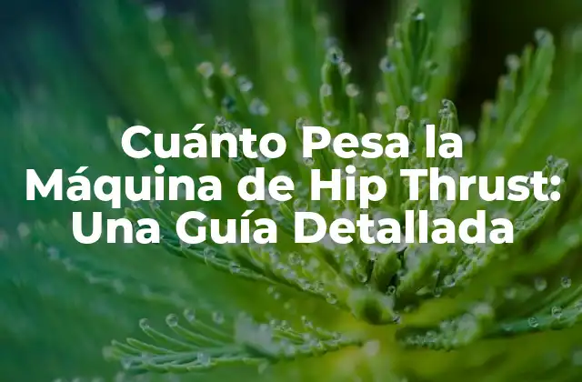 ¿Qué es la Máquina de Hip Thrust?