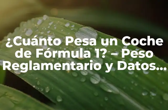 ¿cuánto Pesa un Coche de Fórmula 1? - Peso Reglamentario y Datos Interesantes 2 ¿Cuál es el Peso Reglamentario de un Coche de Fórmula 1?