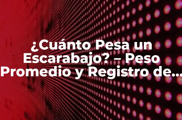¿cuánto Pesa un Escarabajo? – Peso Promedio y Registro de Escarabajos