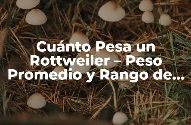 Cuánto Pesa un Rottweiler – Peso Promedio y Rango de Peso para Rottweilers