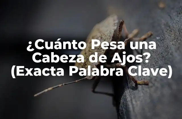 ¿cuánto Pesa una Cabeza de Ajos? (exacta Palabra Clave)