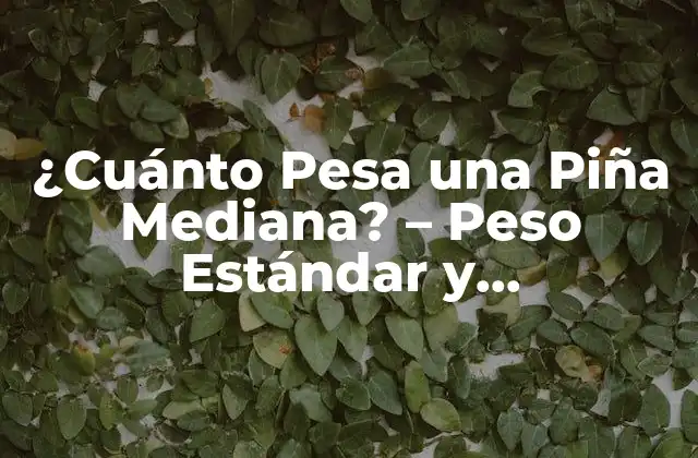 ¿cuánto Pesa una Piña Mediana? – Peso Estándar y Curiosidades
