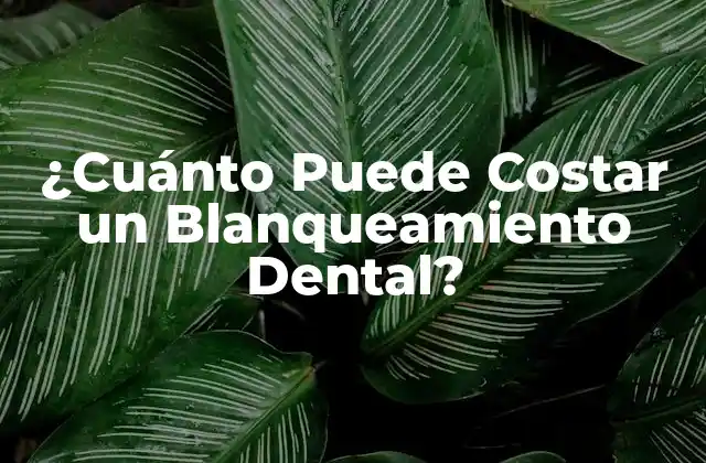 ¿cuánto Puede Costar un Blanqueamiento Dental?
