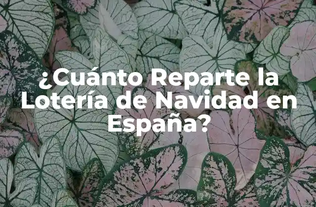 ¿cuánto Reparte la Lotería de Navidad en España? 2 Orígenes y Evolución de la Lotería de Navidad