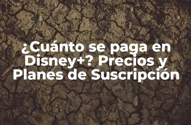 ¿cuánto Se Paga en Disney+? Precios y Planes de Suscripción