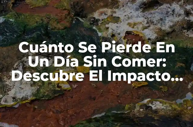 Cuánto Se Pierde en un Día sin Comer: Descubre el Impacto en Tu Cuerpo