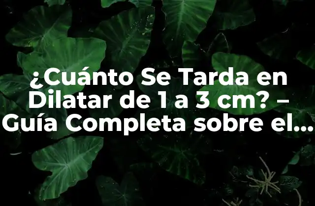 ¿cuánto Se Tarda en Dilatar de 1 a 3 Cm? – Guía Completa sobre el Proceso de Dilatación