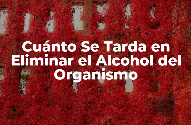 Cuánto Se Tarda en Eliminar el Alcohol Del Organismo