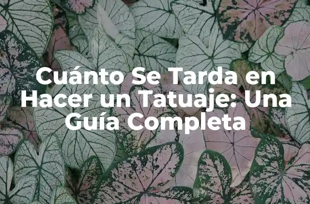 Cuánto Se Tarda en Hacer un Tatuaje: una Guía Completa