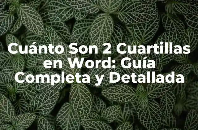 Cuánto Son 2 Cuartillas en Word: Guía Completa y Detallada
