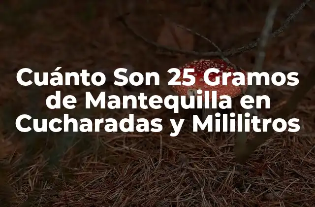 Cuánto Son 25 Gramos de Mantequilla en Cucharadas y Mililitros
