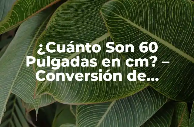 ¿cuánto Son 60 Pulgadas en Cm? - Conversión de Unidades de Longitud 2 La Pulgada como Unidad de Longitud