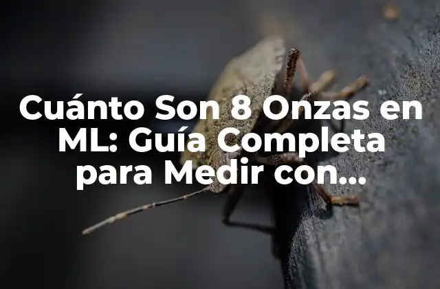 Cuánto Son 8 Onzas en Ml: Guía Completa para Medir con Precisión 2 ¿Qué es una Onza?