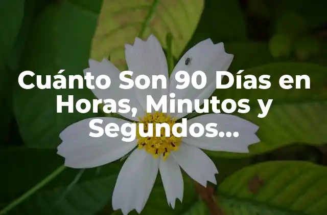 Cuánto Son 90 Días en Horas, Minutos y Segundos Exactamente