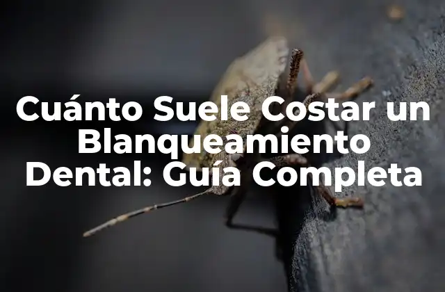 Factores que Afectan el Costo del Blanqueamiento Dental