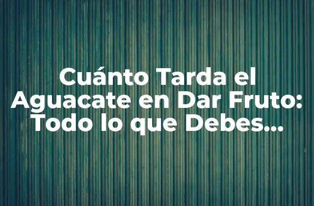 Cuánto Tarda el Aguacate en Dar Fruto: Todo Lo que Debes Saber