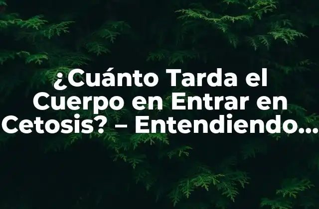 ¿cuánto Tarda el Cuerpo en Entrar en Cetosis? – Entendiendo el Proceso de Adaptación