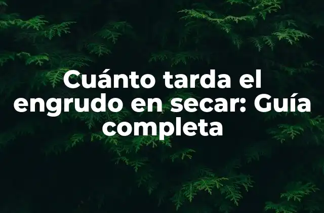 Cuánto Tarda el Engrudo en Secar: Guía Completa