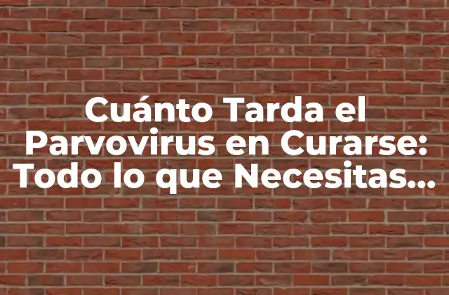 Cuánto Tarda el Parvovirus en Curarse: Todo Lo que Necesitas Saber