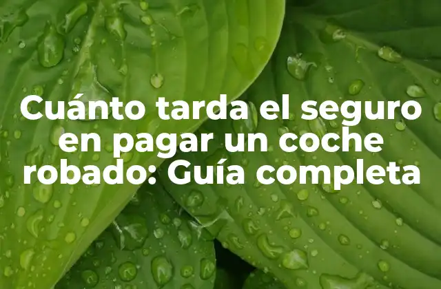 ¿Qué es el seguro de automóvil y cómo funciona?
