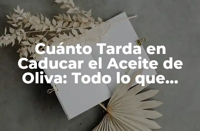 Cuánto Tarda en Caducar el Aceite de Oliva: Todo Lo que Debes Saber