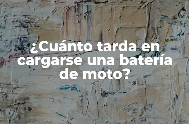¿cuánto Tarda en Cargarse una Batería de Moto?
