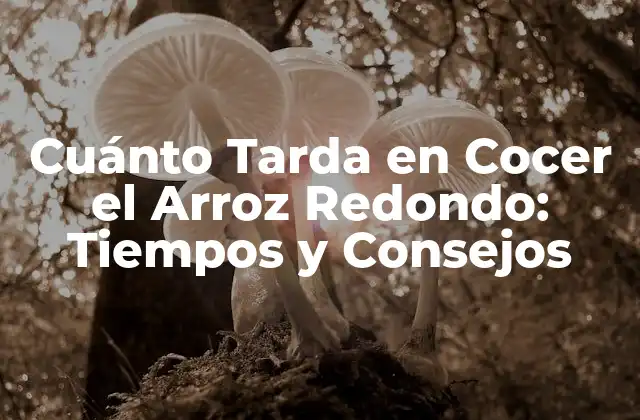 Cuánto Tarda en Cocer el Arroz Redondo: Tiempos y Consejos