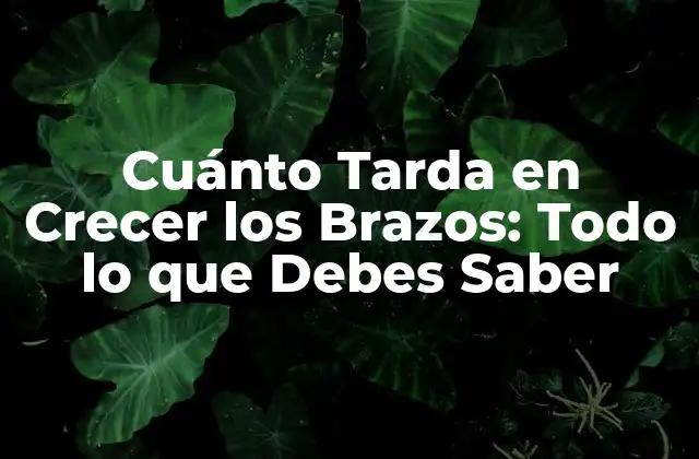 Cuánto Tarda en Crecer los Brazos: Todo Lo que Debes Saber