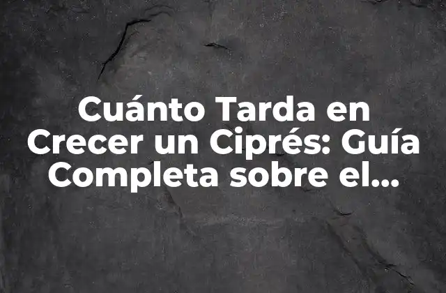 Cuánto Tarda en Crecer un Ciprés: Guía Completa sobre el Crecimiento de Este Árbol Emblemático