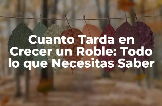 Cuanto Tarda en Crecer un Roble: Todo Lo que Necesitas Saber