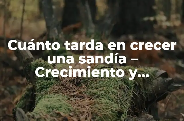 Cuánto Tarda en Crecer una Sandía – Crecimiento y Maduración de la Sandía