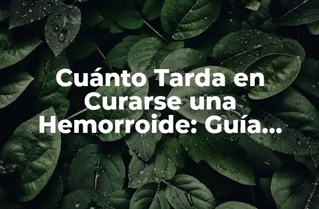 Cuánto Tarda en Curarse una Hemorroide: Guía Completa 2 Causas y Factores de Riesgo de las Hemorroides
